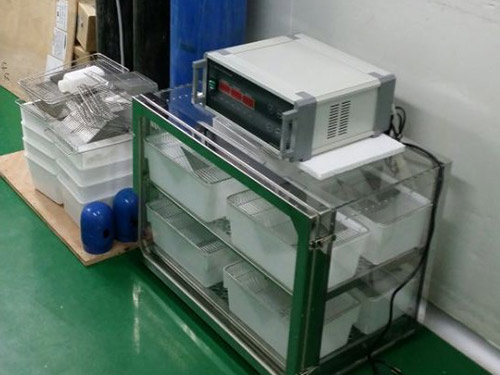 间歇性小鼠实验